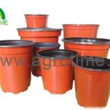 Plant Pot